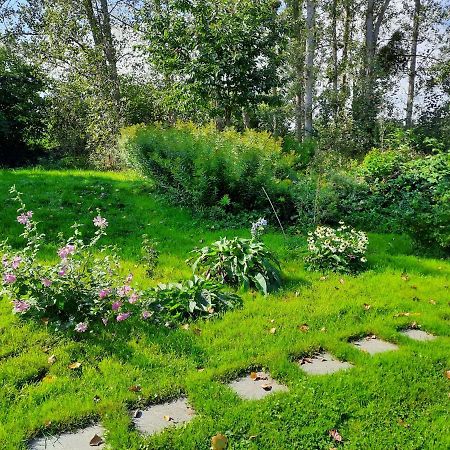 La Yourte Au Fonds Du Jardin Xhoris Kültér fotó