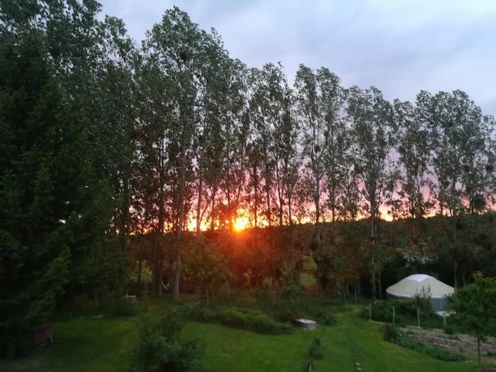 La Yourte Au Fonds Du Jardin Xhoris Kültér fotó
