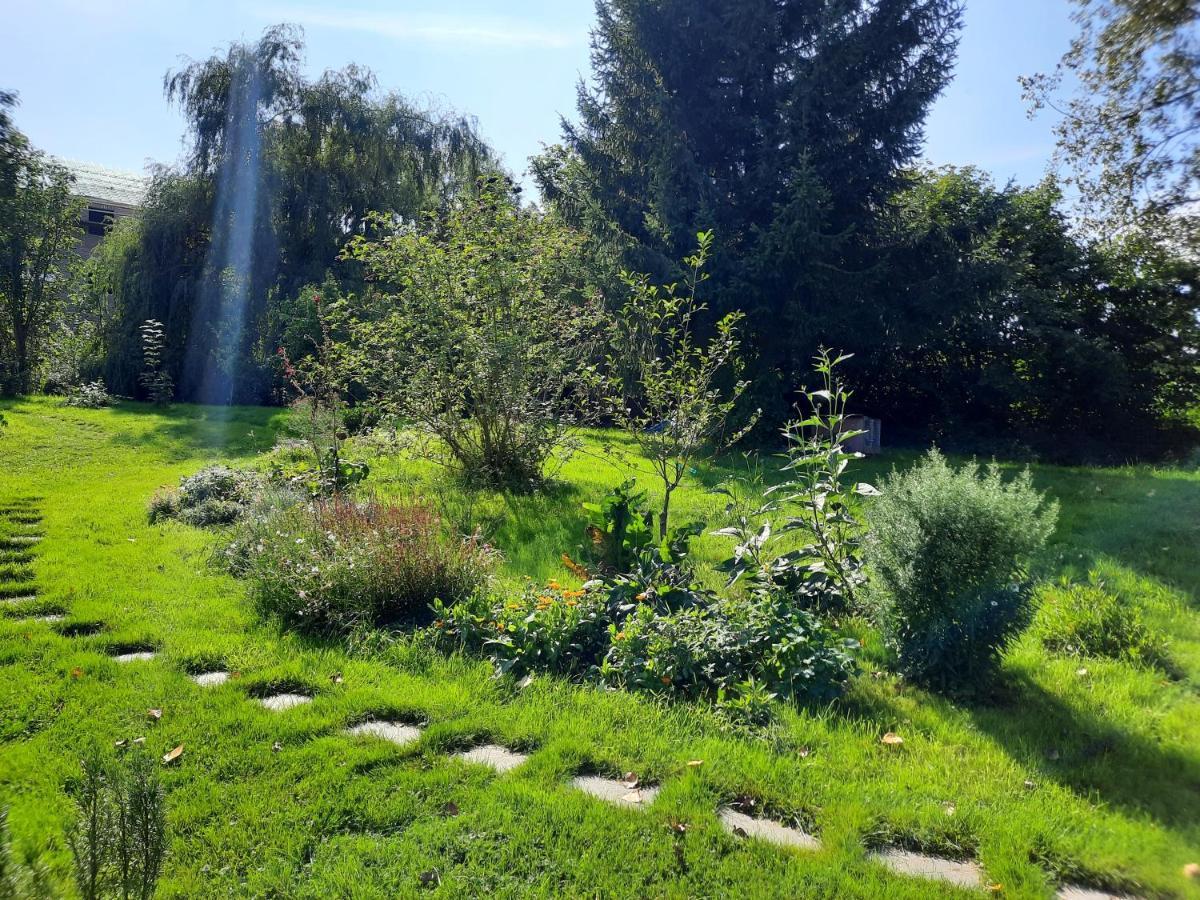 La Yourte Au Fonds Du Jardin Xhoris Kültér fotó